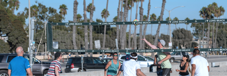 Crowd of happy employees playing volleyball