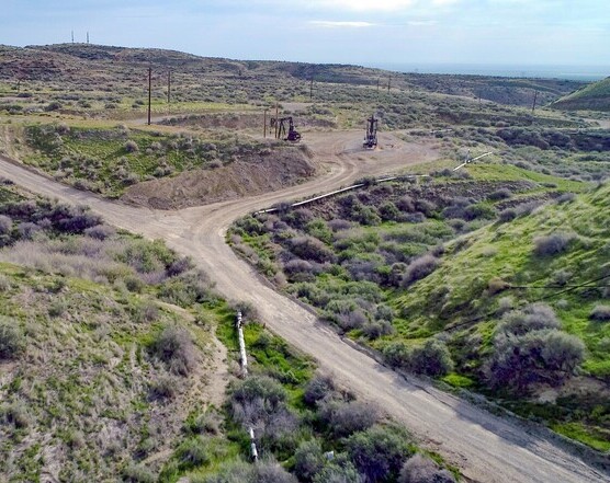 Coalinga Field