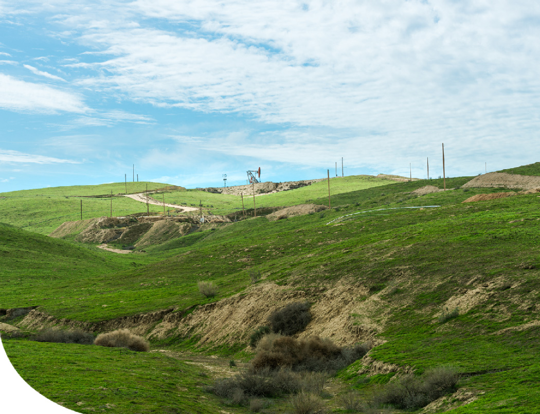 Elk Hills Field