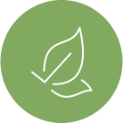 Outline of two green leaves
